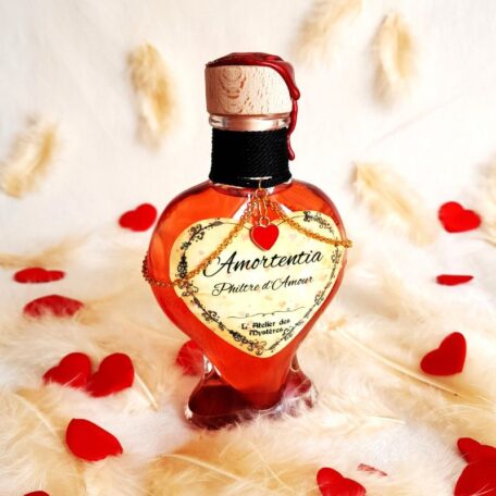 Potion décorative amortentia philtre d'amour l'atelier des mystères vue de face