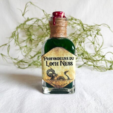 potion décorative profondeurs du loch ness l'atelier des mystères face