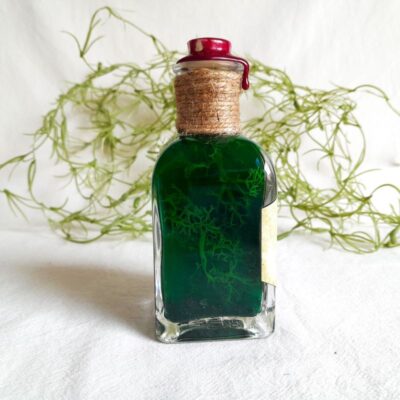 potion décorative profondeurs du loch ness l'atelier des mystères profil autre