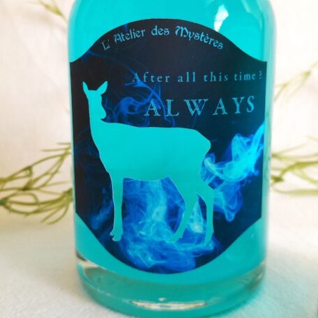 potion décorative phosphorescente brille dans le noir patronus et always l'atelier des mystères vu always